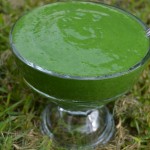 Green Sorbet Smoothie