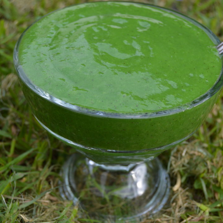 Green Smoothie Sorbet