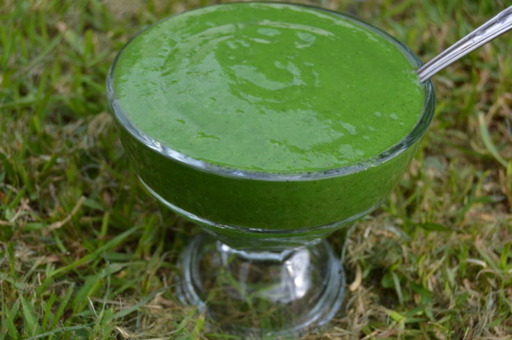 green smoothie sorbet
