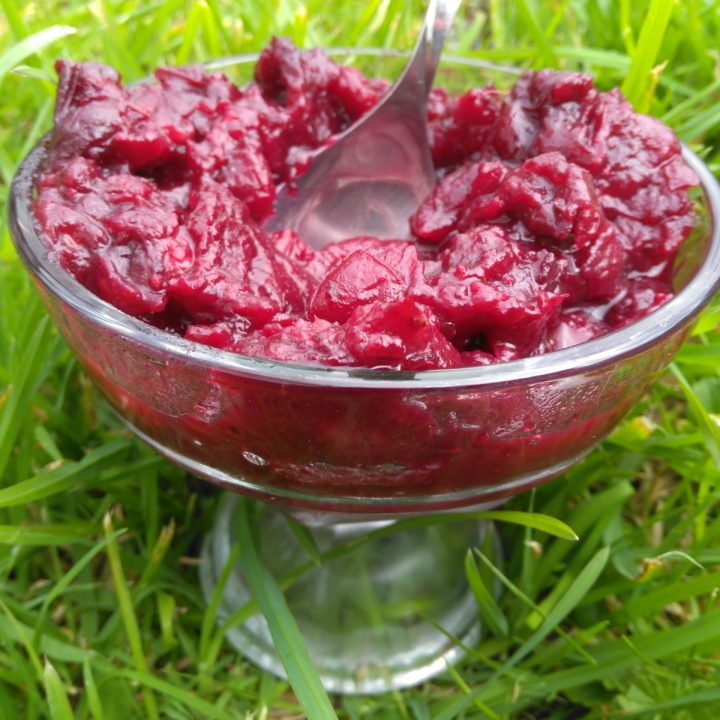Refined Sugar Free Cranberry Sauce