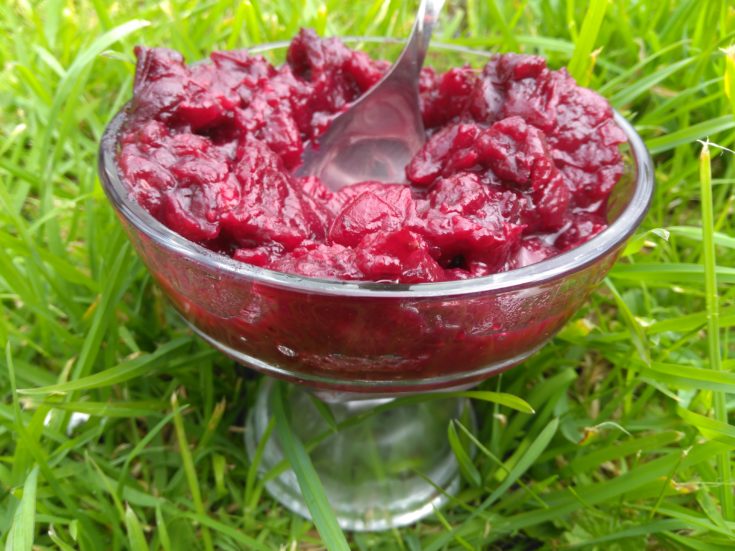 cranberry sauce