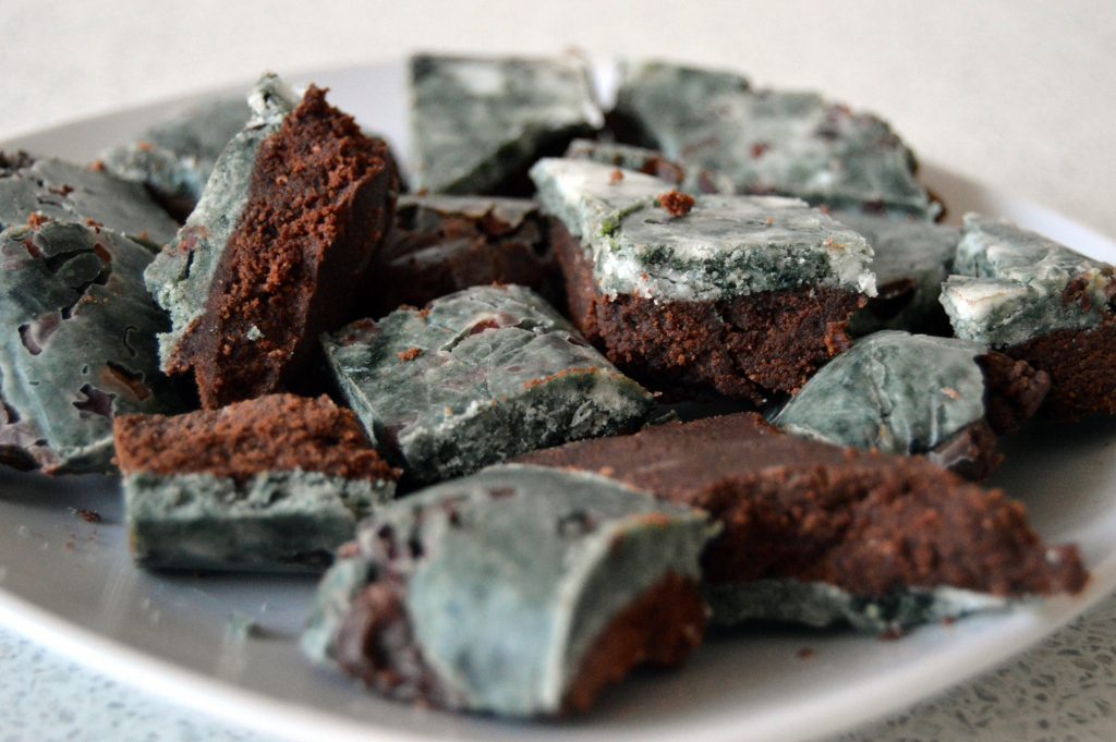 Mint Chocolate Spirulina Fudge - Vegan and Sweetened with Xylitol close up