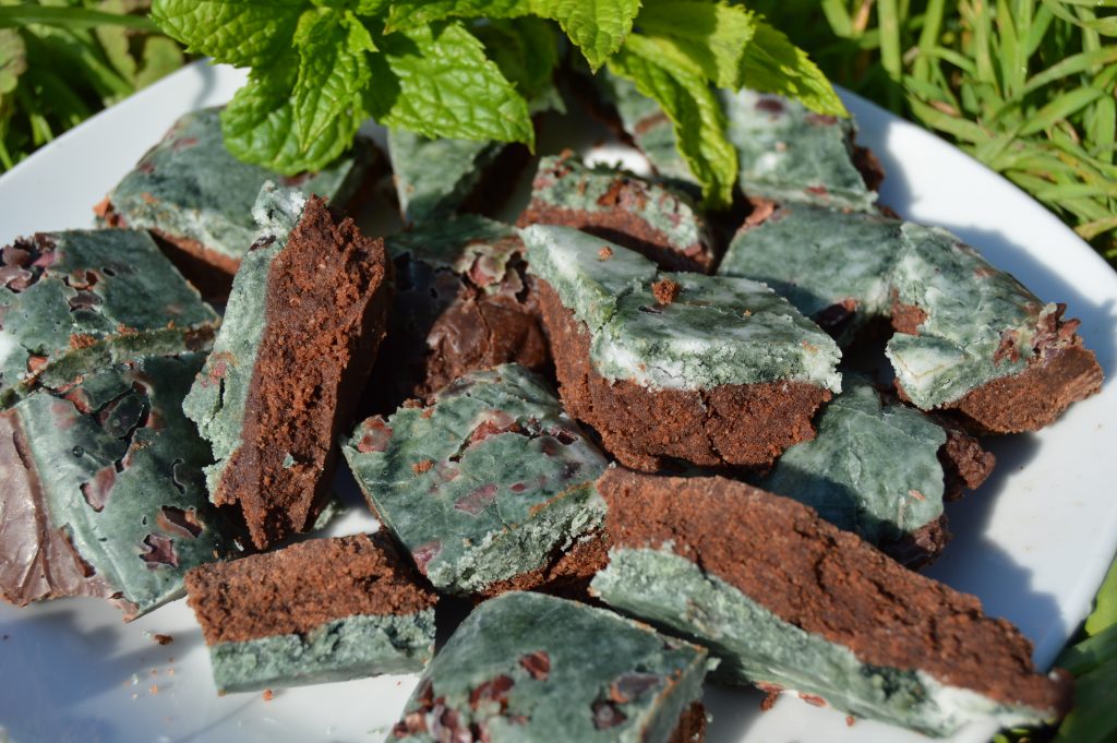 Mint Chocolate Spirulina Fudge - Vegan and Sweetened with Xylitol on a plate