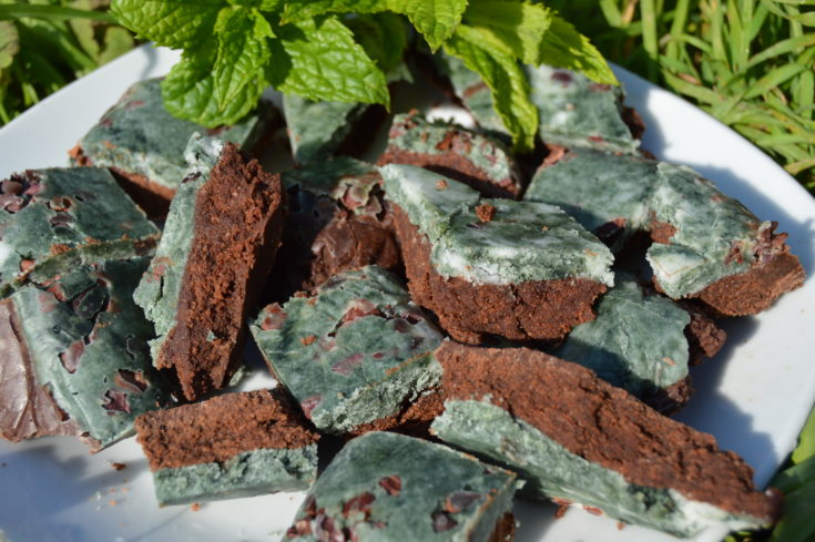 Mint Chocolate Spirulina Fudge - Vegan and Sweetened with Xylitol on a plate