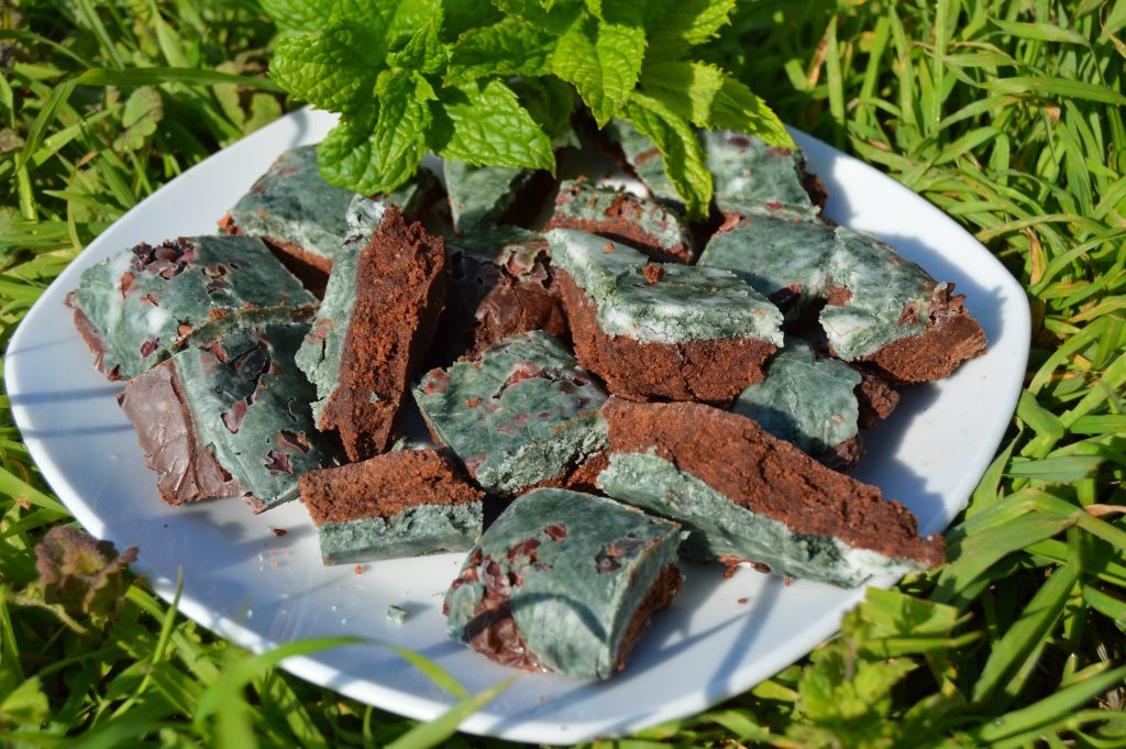 Mint Chocolate Spirulina Fudge - Vegan and Sweetened with Xylitol in the garden