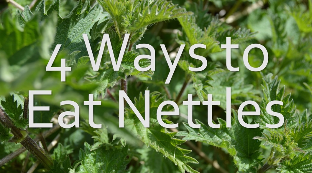 Eat Nettles 4 different ways Nest and Glow