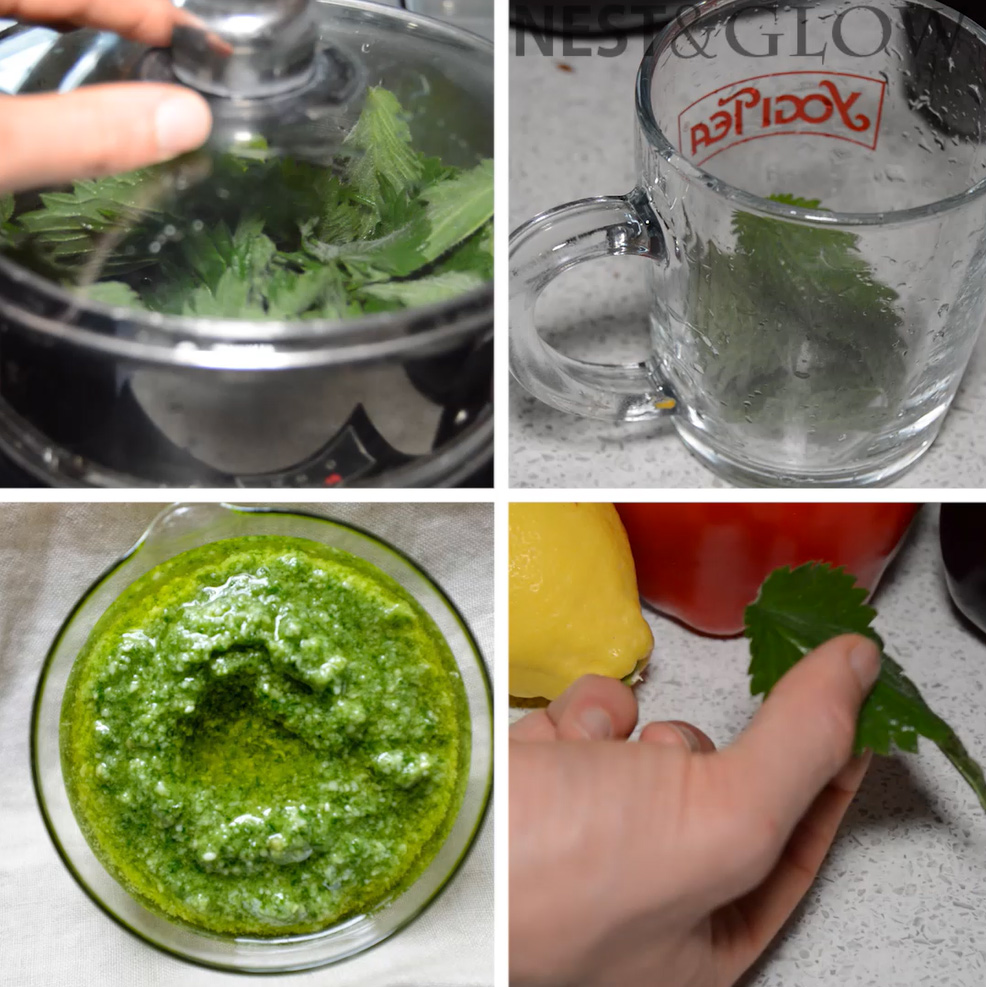4 ways eat nettles tea pesto roll steam