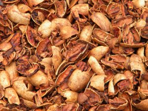 Pecan shells