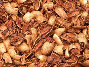 Pecan shells 