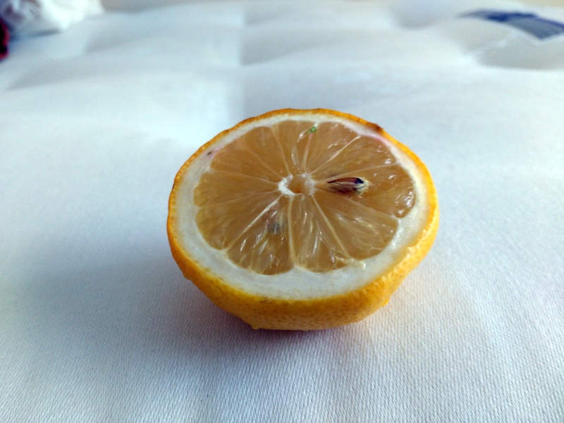 lemon juice to remove mattress smells