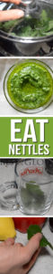 how to eat healthy nettles