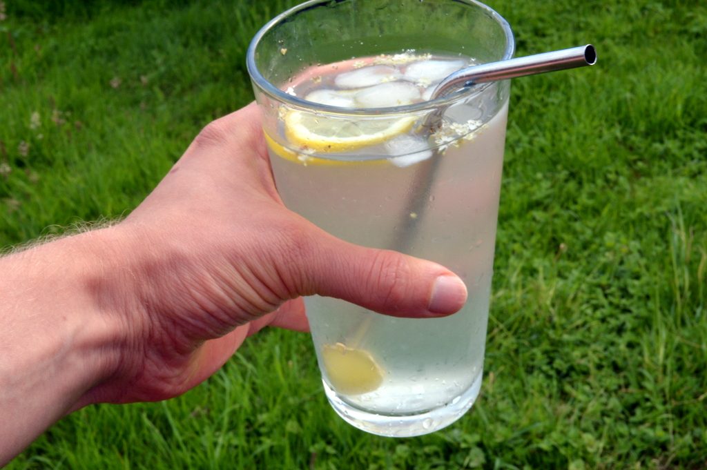 Elderflower Lemon Water