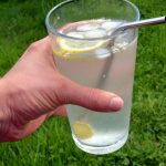 Elderflower Lemon Water