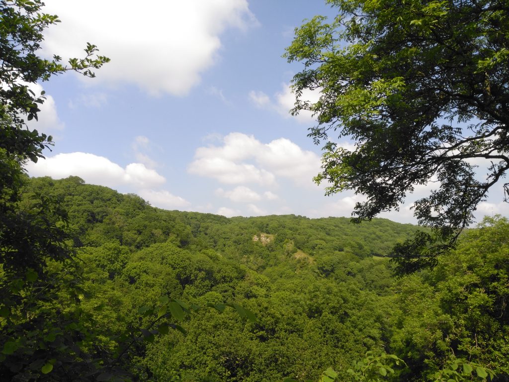 View of ebbor gorge from a distance