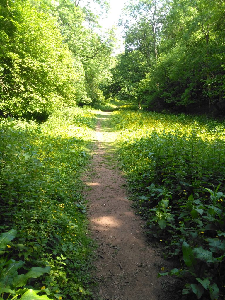 ebbor gorge trail