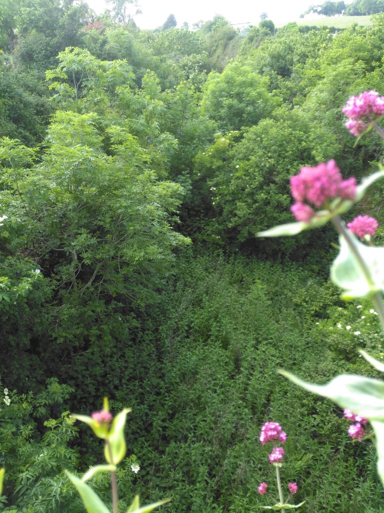 Old railway line through the mendips