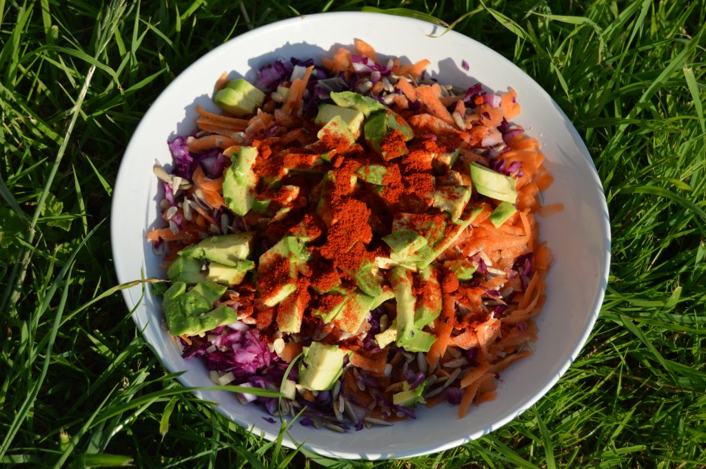 carrot and cabbage with activated sunflower seeds salad and an avacado