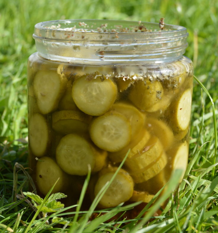 24 Hour Pickled Gherkins in a jar