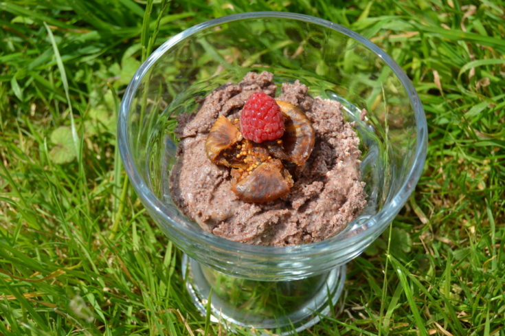 Quick Raw Chocolate Spread with a fig and rasberry
