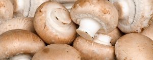 mushrooms for vegan vitamin D