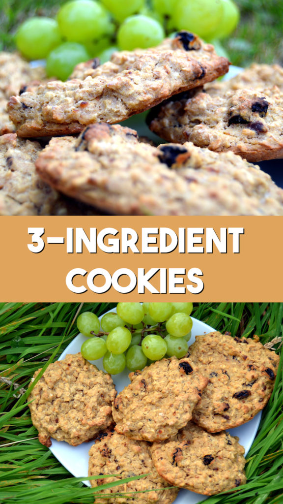 3 ingredient cookies recipe on a plate with raisins and banana