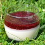 Coconut Vanilla Panna Cotta with Berry Compote