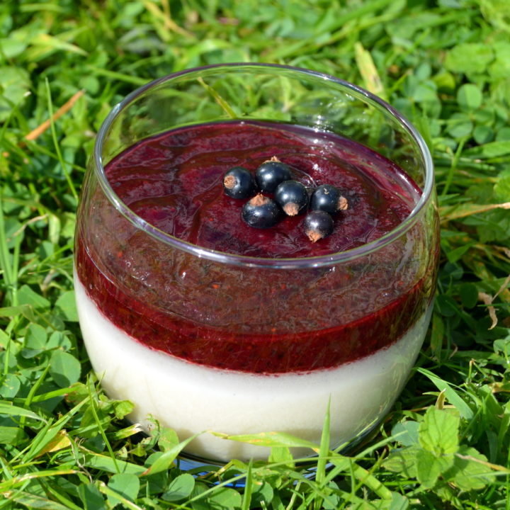 Coconut Panna Cotta - Vegan + Dairy Free
