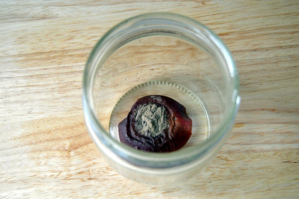 jam jar for chemical free DIY fruit fly trap