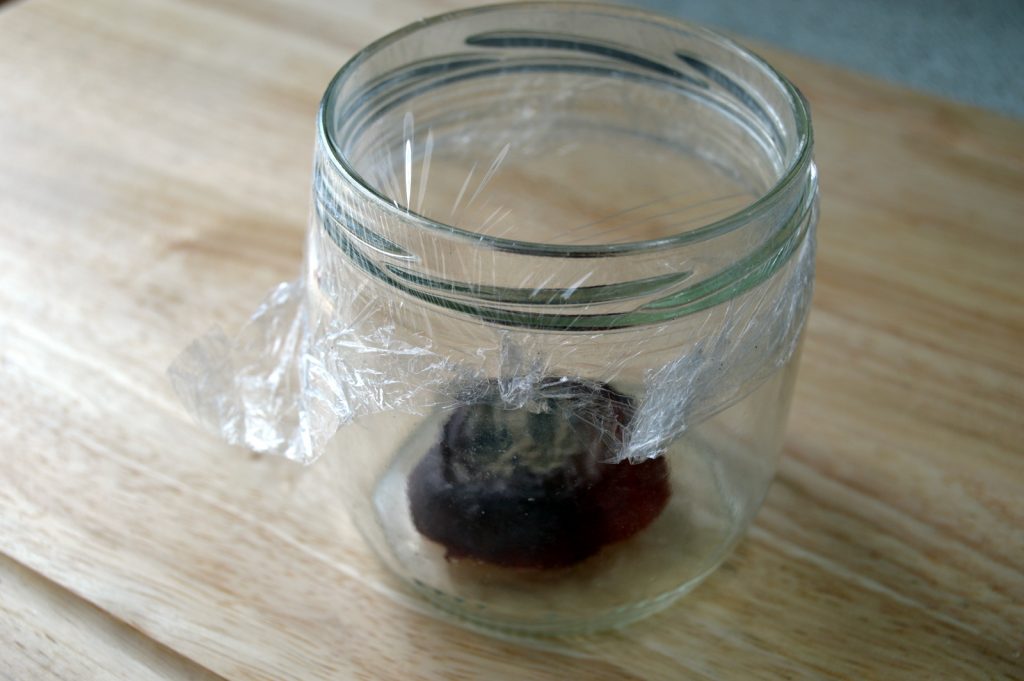 cling film for chemical free DIY fruit fly trap