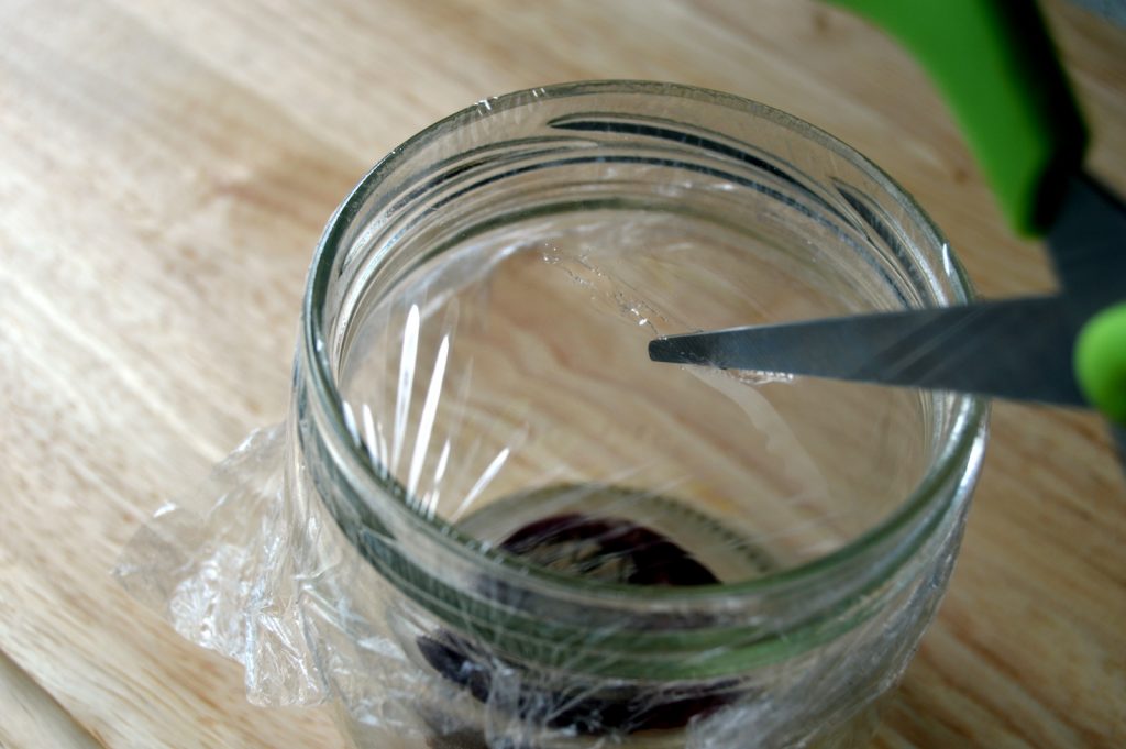 slit for chemical free DIY fruit fly trap