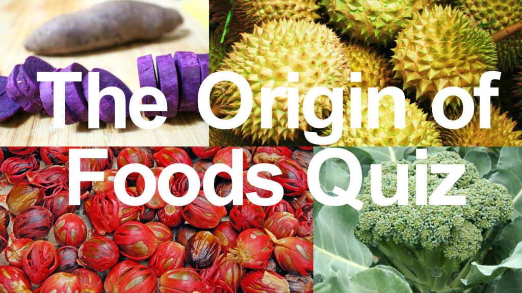 origin of food quiz