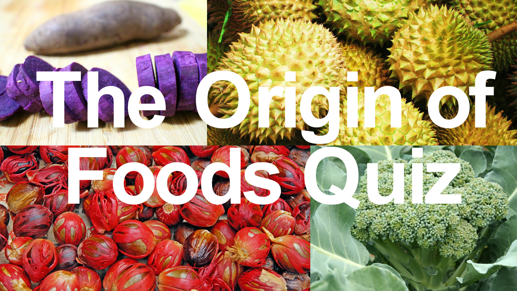 The Origin of Foods Quiz Nest and Glow