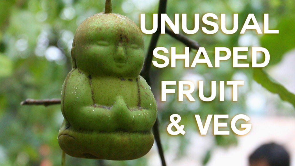 Buddha shaped pear
