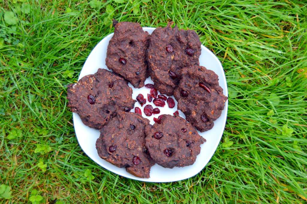 A plate of 4 Ingredient Chocolate Cranberry Cookies