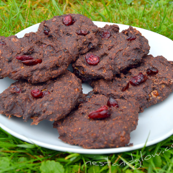 Chocolate Cranberry Healthy Cookies