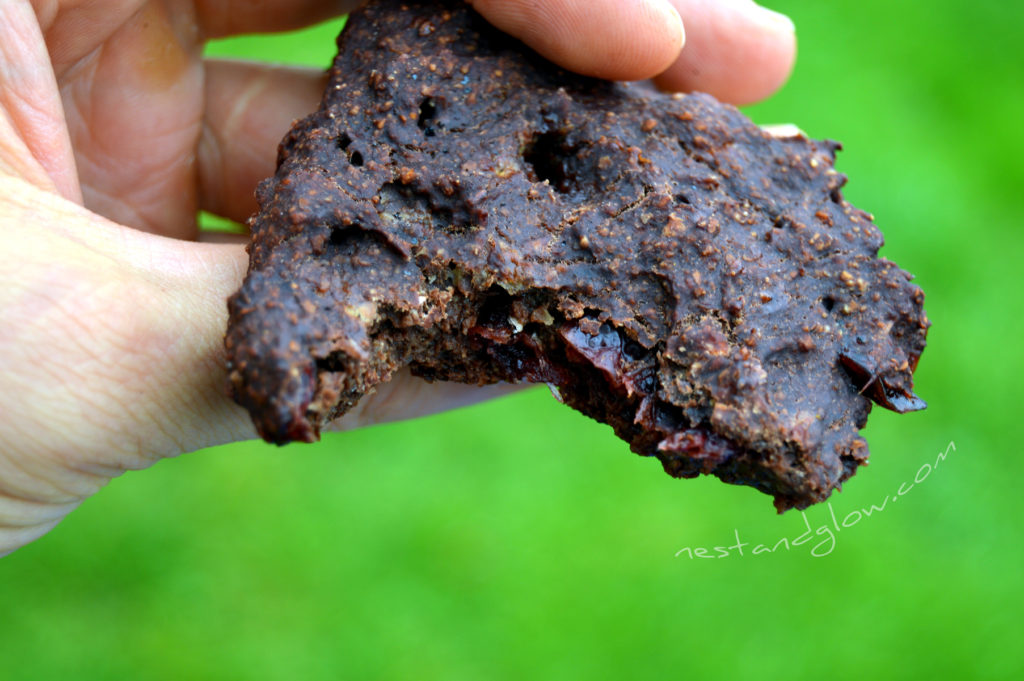 4 Ingredient Chocolate Cranberry Cookies Close Up