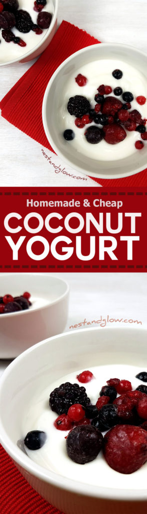 Dairy-free vegan coconut yoghurt recipe