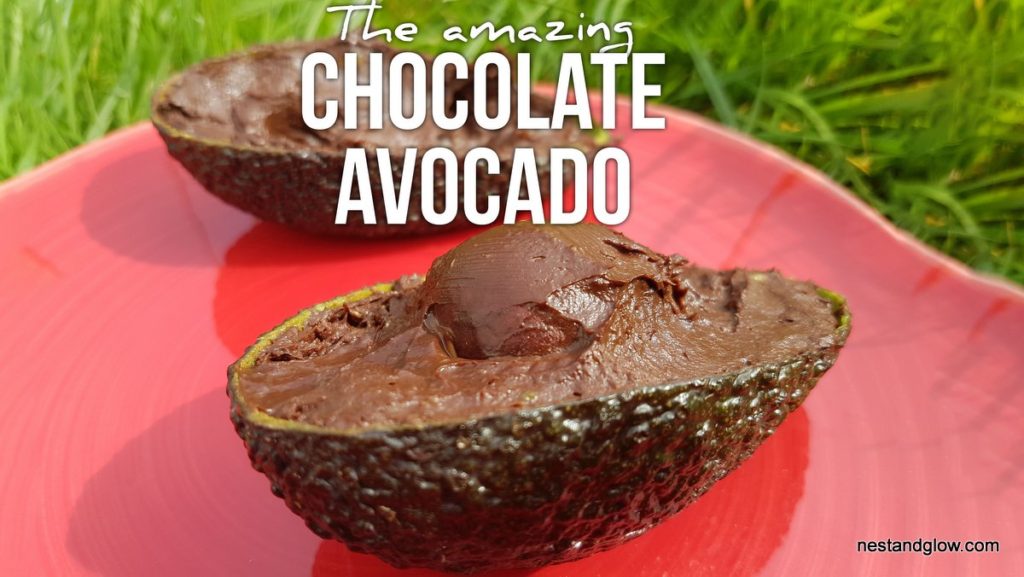 Chocolate Avocado Fruit