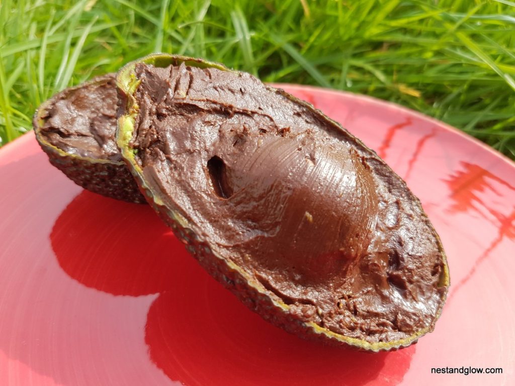 Chocolate Cocoa Avocado Fruit with a solid cacao stone