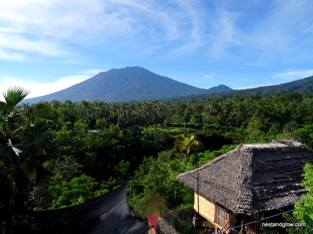 The view from East Bali Cashews