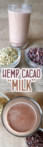 Easy to make nut and dairy free milk - Hemp Seed Cacao Chocolate Milk