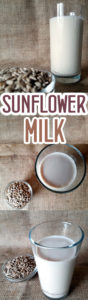 Easy to make Sunflower Seed Vanilla Milk