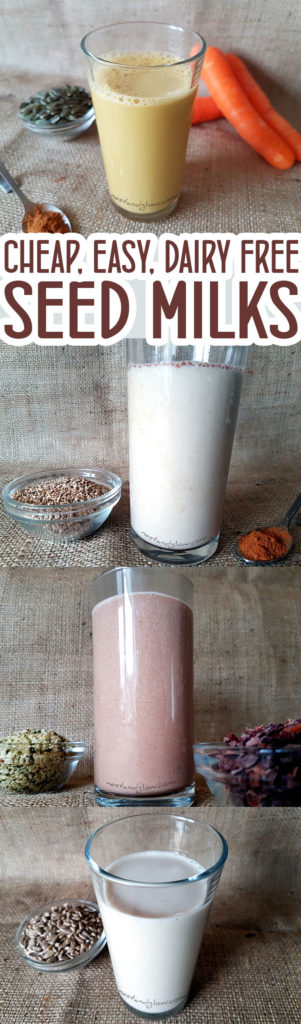 Seed Milk Recipes - cheap, easy, vegan and nut free