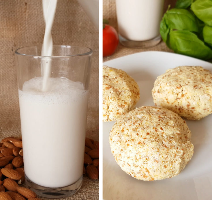 Almond Milk and Almond Pulp Cheese