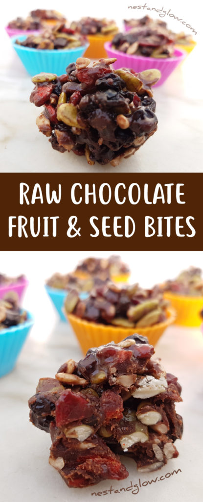 Raw Chocolate Fruit and Seed Bites Recipe - Easy, Vegan and Healthy