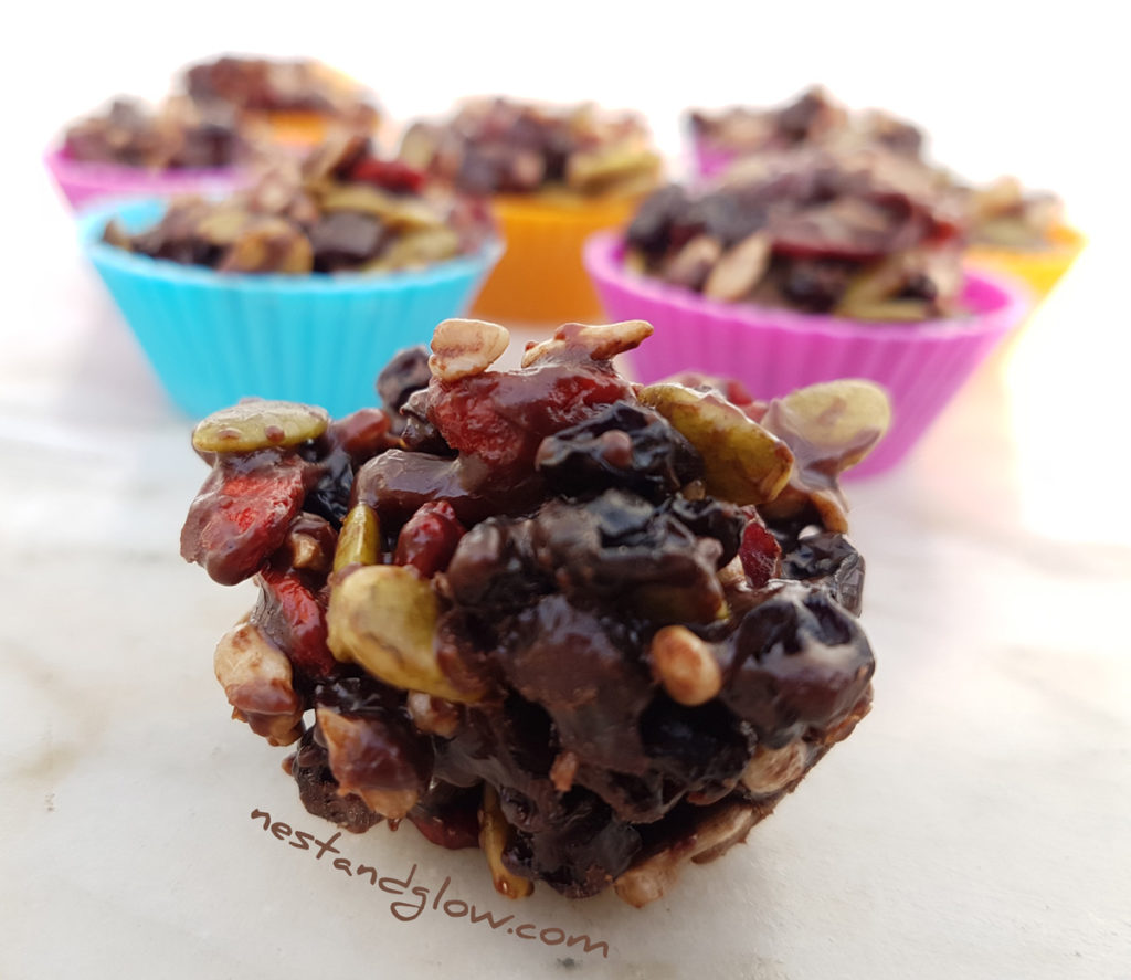 Vegan and raw chocolate fruit protein bites