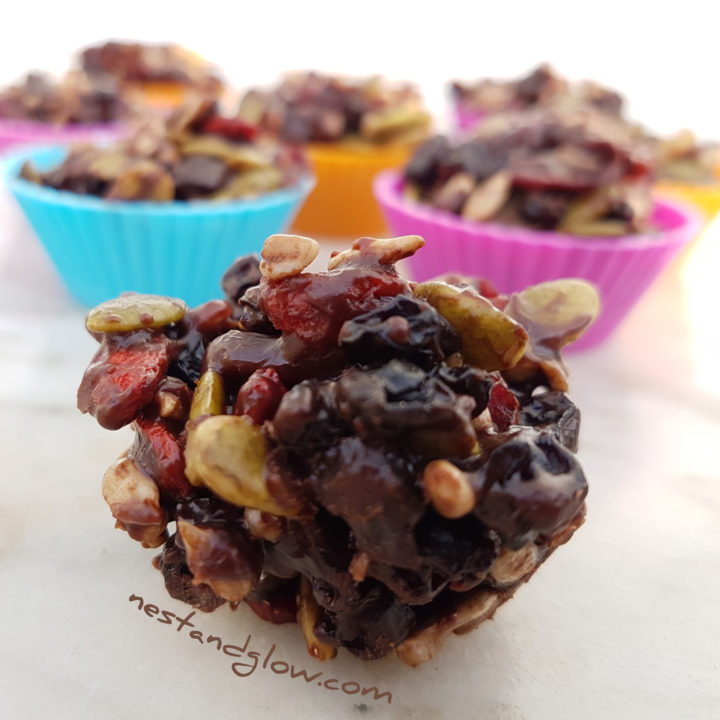 Raw Chocolate Fruit and Seed Bites