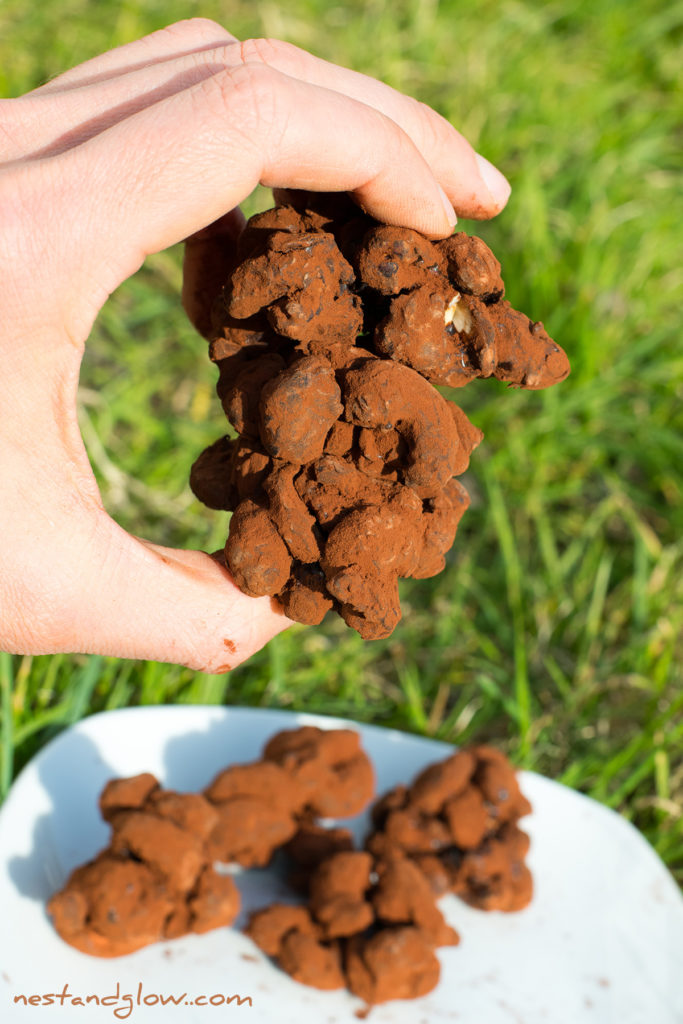 Cacao cashew candies