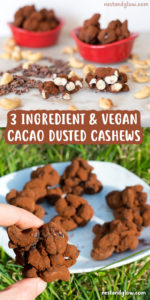 cacao dusted cashews vegan
