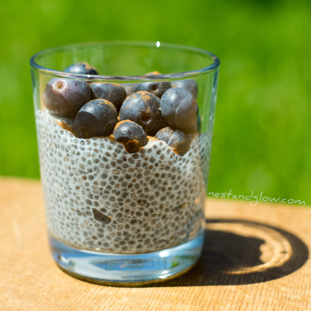 blueberry muffin overnight chia pudding